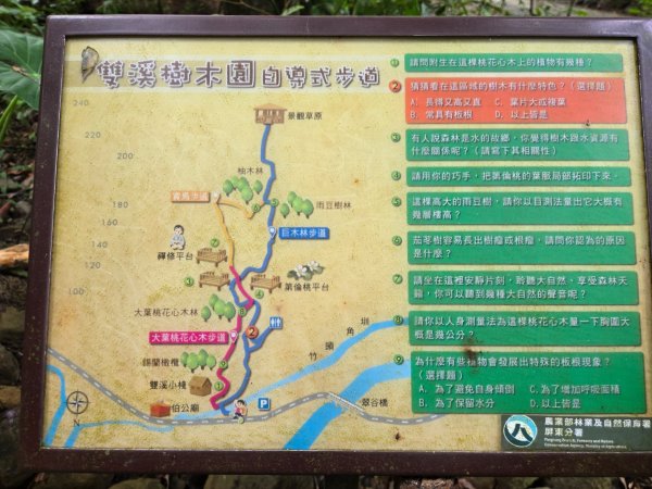 美濃雙溪樹木園（九芎林山）2652547