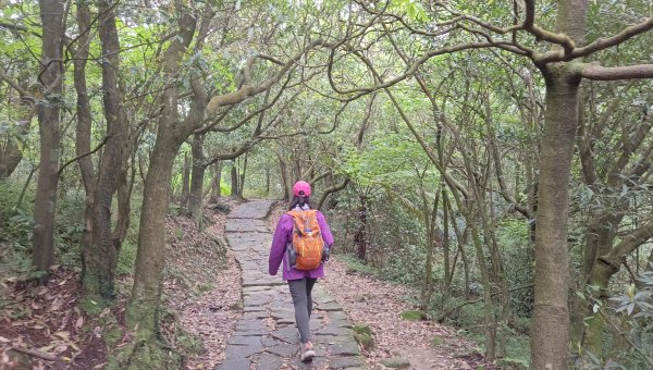 (姨婆趴趴走)第五十一集:台北冷擎步道、金包里大路(魚路古道)2757236