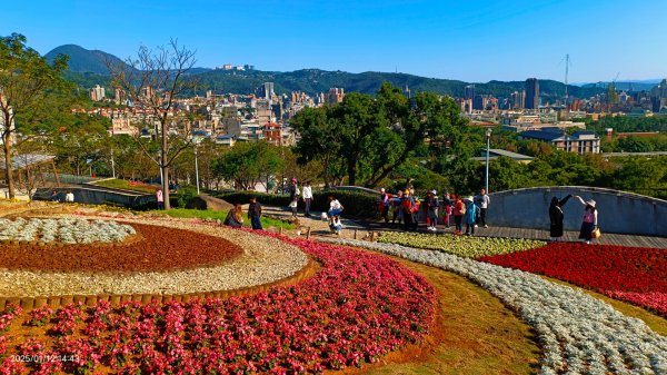 暖暖冬陽北投趴趴走，農禪寺/三層崎/貴子坑 #雪貂 #寵物貂2686758