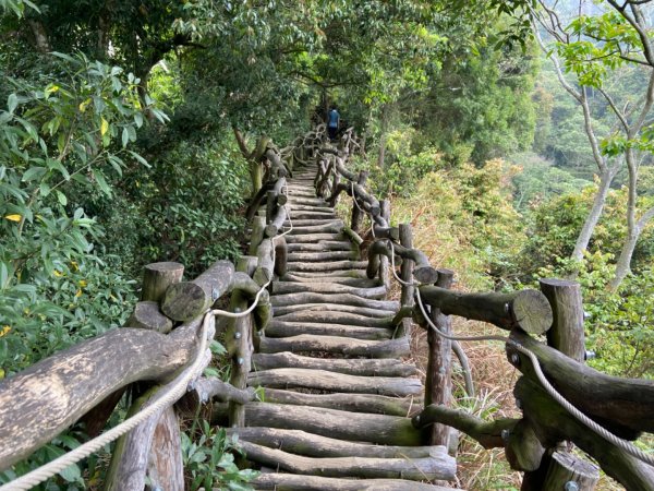 大坑2號原路來回2130431