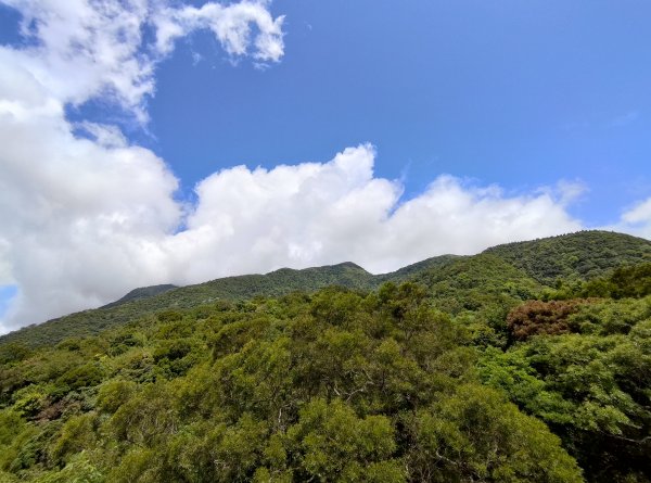 中正山步道-竹子湖來回1361647