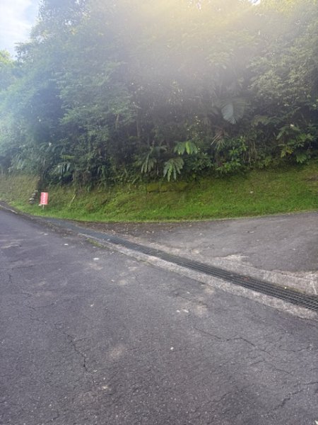 20250601 柑柑柑腳山2801031