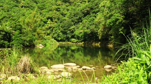 【淡蘭中路】深山中的綠翡翠封面