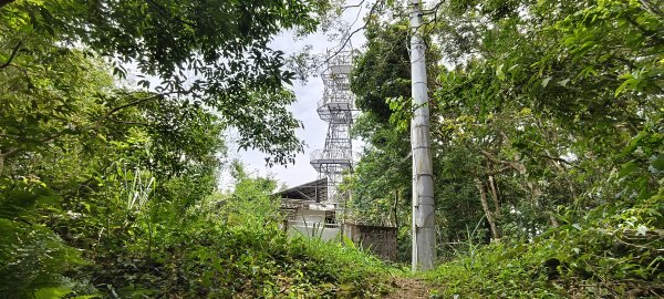 2025/07/06_金牌縱走(觀音洞出發小O型)2829109