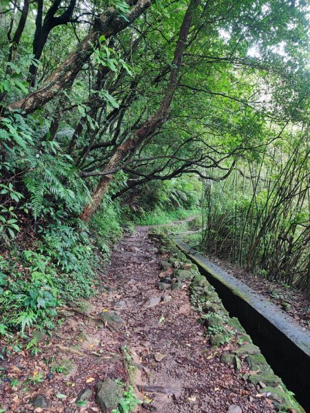 絹絲瀑布步道 - 走遍陽明山尋寶任務2268816