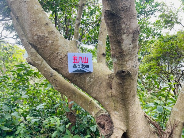 1140302硬漢嶺O繞2724063