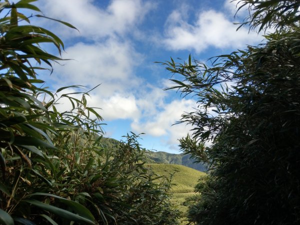 七星山連峰1453763