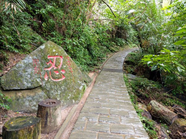 臺北大縱走-捷運大湖公園站至風櫃口782317