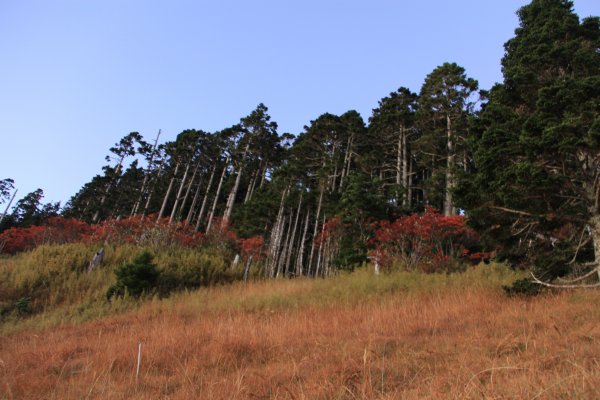 雪山主東峰1086122