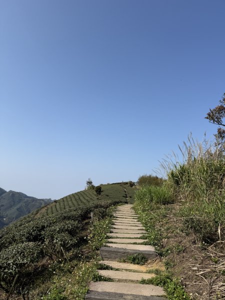 69雲嘉8連峰3084274