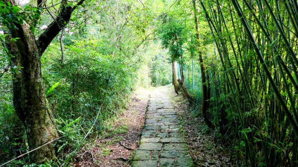 溪和宮,大尖山,擎天崗2822942