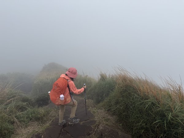 七星山 冷水坑上小油坑下環七星山人車分道O繞 202511082934893