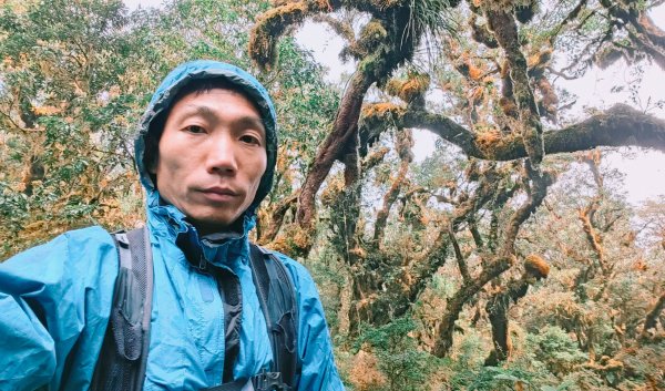 茶仁山單攻2025年4月4日2753365