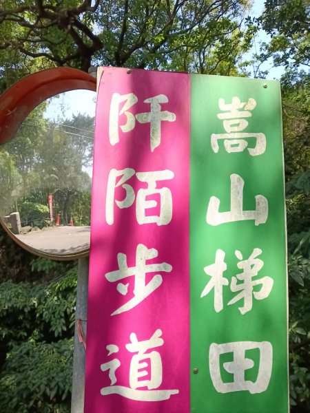 石門區嵩山百年水梯田鳶尾花祭+阡陌步道2763514