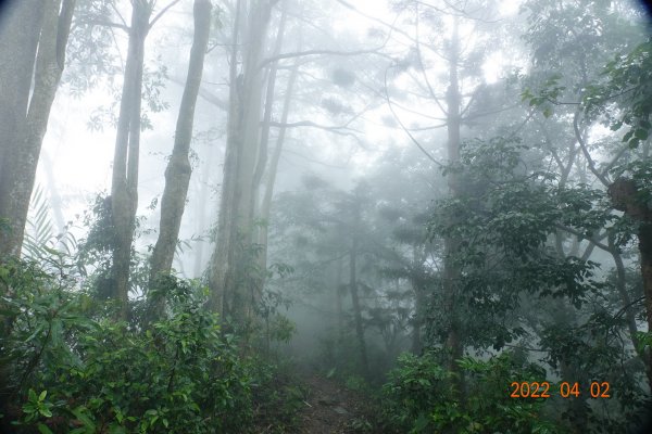 臺南 南化 刣牛湖山1664314