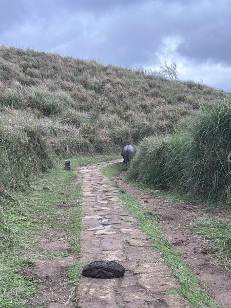 台北 士林 風櫃嘴3010311