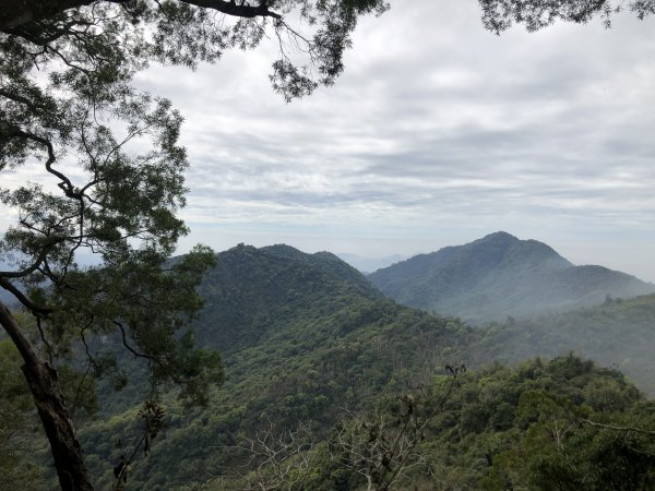 關仔嶺大凍山步道走曾文水庫O型1611852