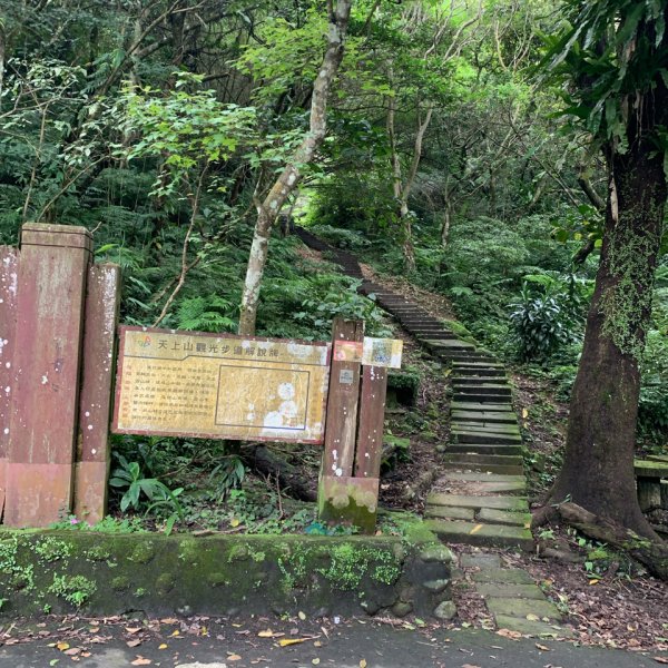 20260510天上山3053476