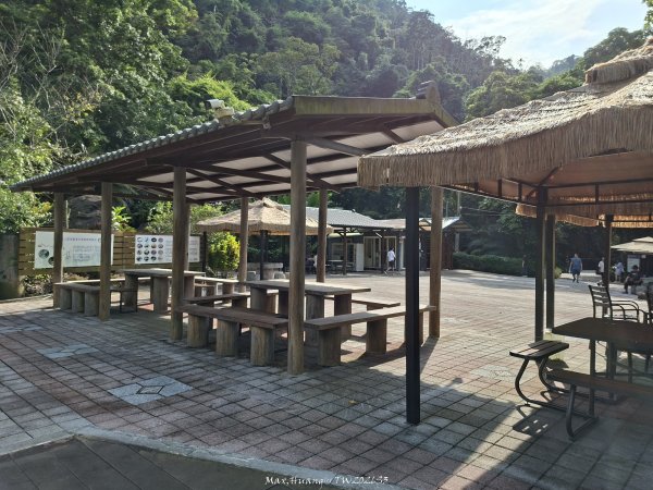 《南投》瀑布茶園｜竹山瑞龍瀑布步道及山坪頂茶山七星步道202609273124265