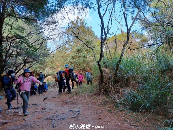 【高雄桃源】朝聖壯闊山景之南橫三星。 編號72百岳~塔關山登山步道2096662