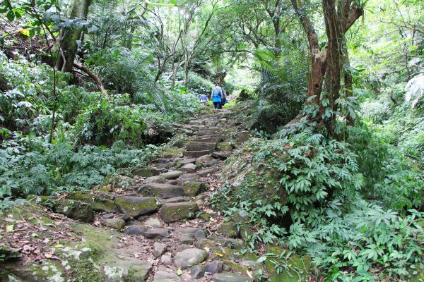 南庄 景點多 ~ 走吧 ! 登山健行休閒旅遊 ...223470