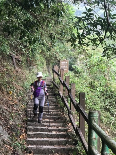 樟腦寮車站上獨立山奉天岩泡茶煮泡麵大巃頂看群峰美景470078