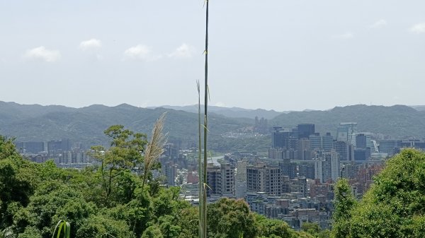 (姨婆趴趴走)第五十三集:台北內湖三山（白鷺鷥山、康樂山、明舉山）連走2774613