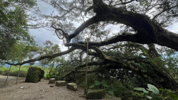 微笑山線_樹鶯縱走2852888