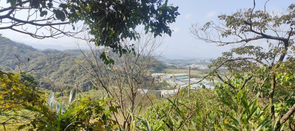 福源山步道2730316