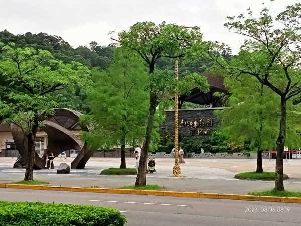 【臺北大縱走 7】樟山寺→樟樹步道→指南宮貓空親山步道→茶展中心步道→大成殿步道→指南宮竹柏參道2255459