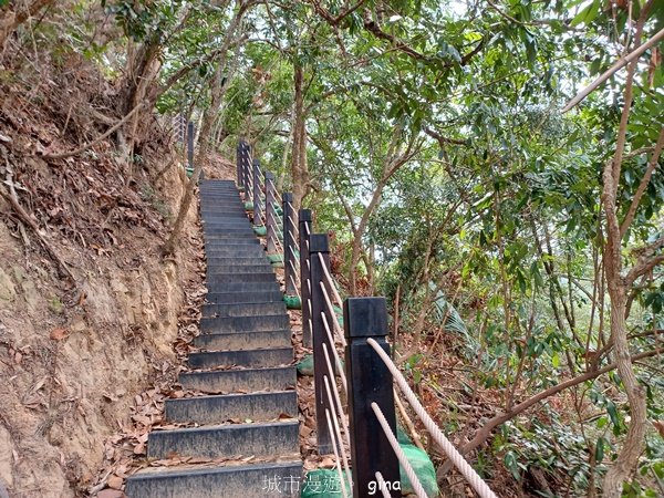 【台中豐原】平易近人。 豐原萬里長城登山步道x寮水山2517550