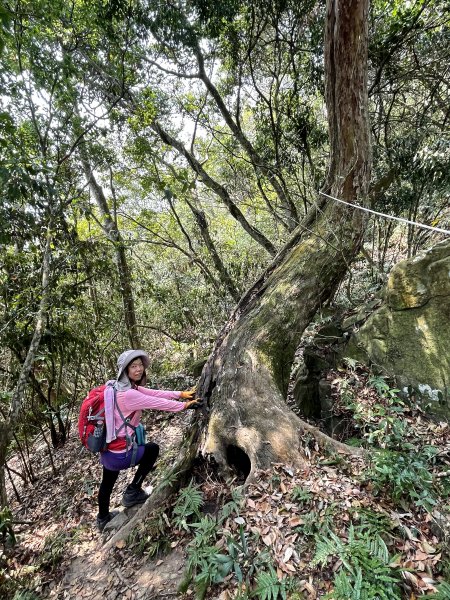 暗影山 西北稜上 南稜下 接仙女瀑布1317868