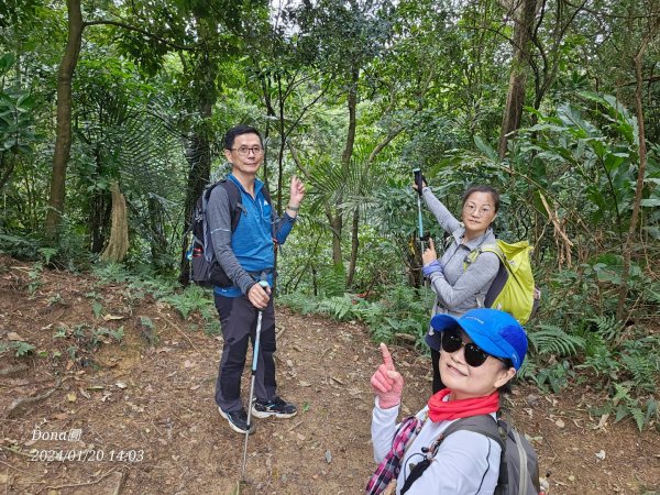 東勢大崙、東勢坑山、觀音湖山O走2986255