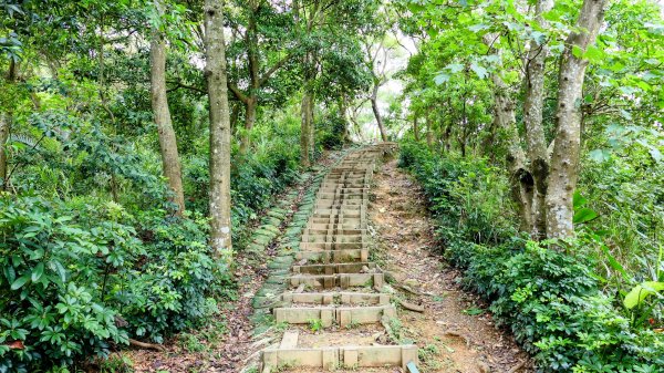 微笑山線405高地段2844153