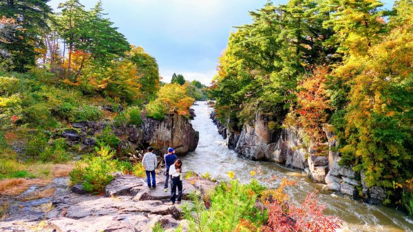 岩手縣嚴美溪2930213