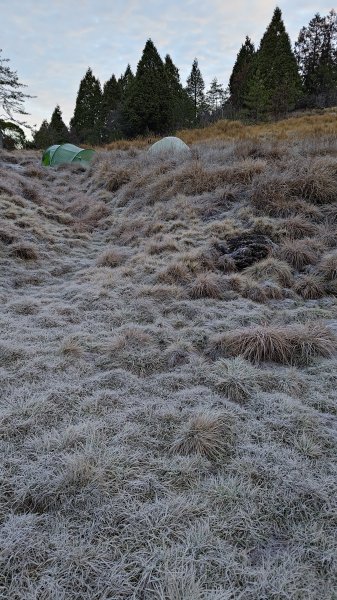 仙女散落的珍珠2723947