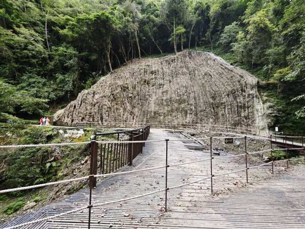 2025_0713 拉拉山神木群步道2837287