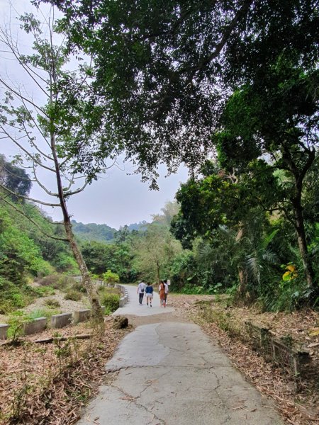 步道巡訪員│龍過脈步道3月巡訪日誌872329