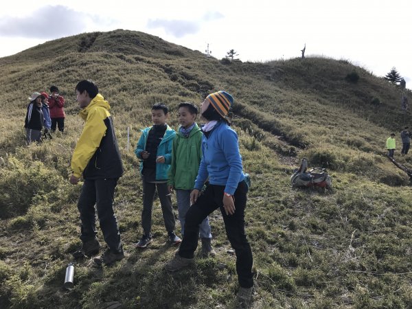 雪山 不下雪533045