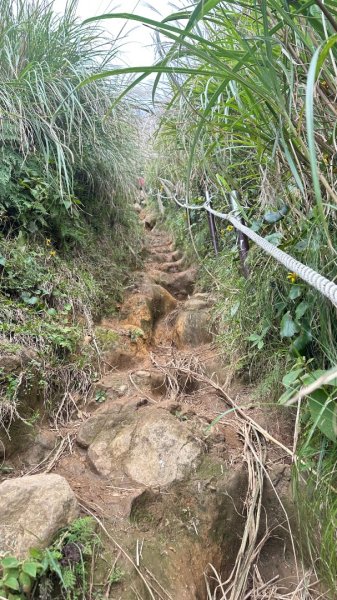 大屯山五連峰含面天山2934602