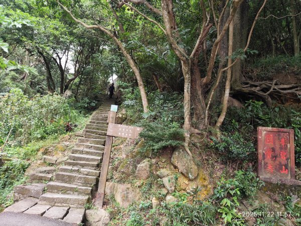 內湖碧山巖、白石湖吊橋2942773