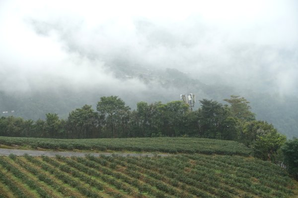南山寺觀景台3086086