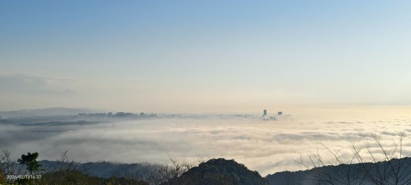 #觀音山 #雲海 #夕陽 #天空之城 #大赤鼯鼠（飛鼠） 2/132999426