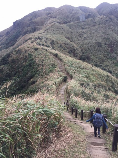 茶壺山-半屏山-燦光寮山縱走1252967