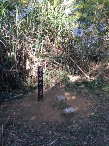 雲嘉五連峰2018/12/08503620