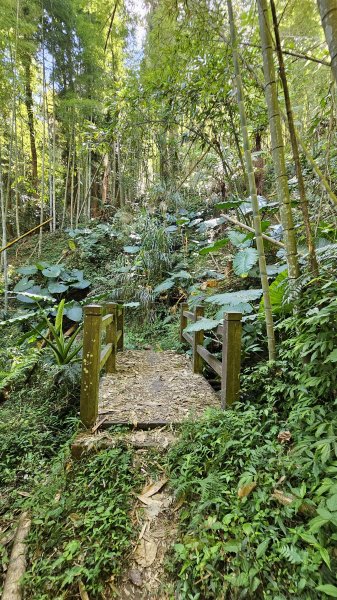 【四大天王山O型縱走未竟之旅：封山中的靜謐與省思】解鎖嘉義竹崎四大天王山、知鳥山。2929909