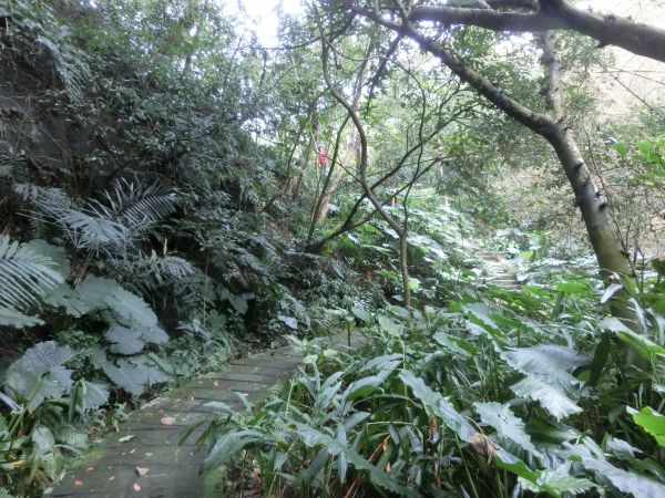 富陽生態公園．福州山106631