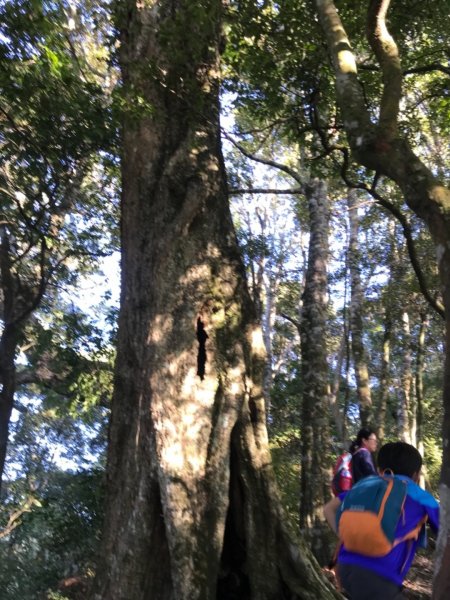 稍來南峰上稍來山遠看鳶嘴山714488
