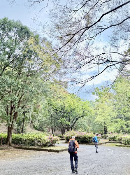 奧萬大登合流點山順撿楓樹林山.獅子頭    2025.3.112734129