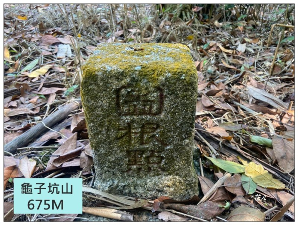 龜子坑山 (南投、魚池)